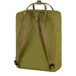 Fjallraven Kanken Classic Backpack Foliage Green -All Style Shop 23905 4
